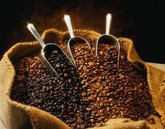 gourmetbeans
